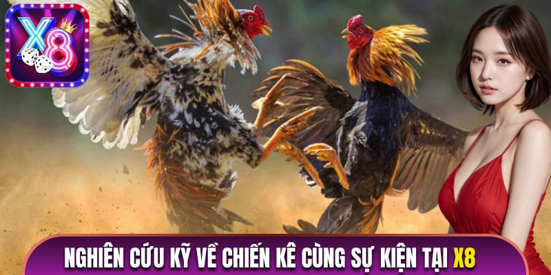 Nghiên cứu kỹ về chiến kê cùng sự kiện