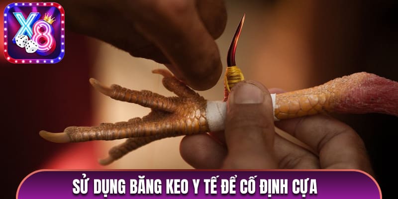 Sau khi đặt cựa hãy sử dụng băng keo y tế để cố định 